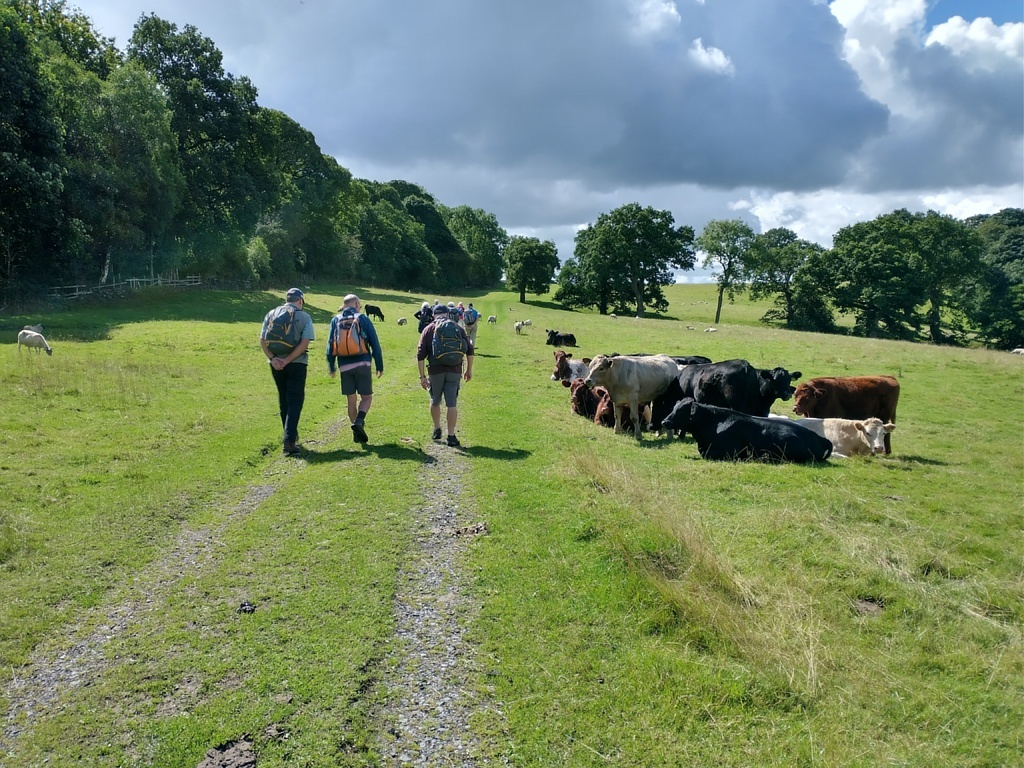Near Whalley 2022